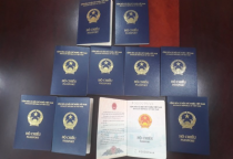 Đức chưa chấp nhận hộ chiếu bìa xanh tím than của Việt Nam vì thiếu nơi sinh?