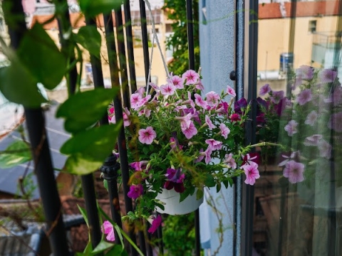 Jan Central Building1