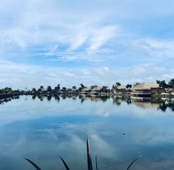 Vui chơi giải trí